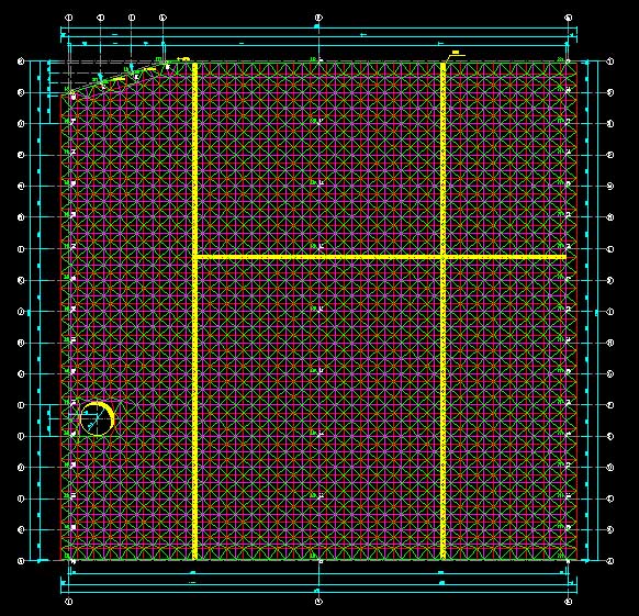 长沙东营金岭化工大王煤棚网架